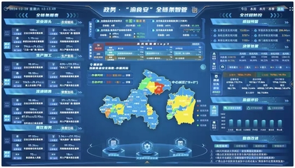 重慶7個(gè)案例獲評(píng)全國數(shù)字化監(jiān)管典型，數(shù)據(jù)處理服務(wù)成關(guān)鍵驅(qū)動(dòng)力
